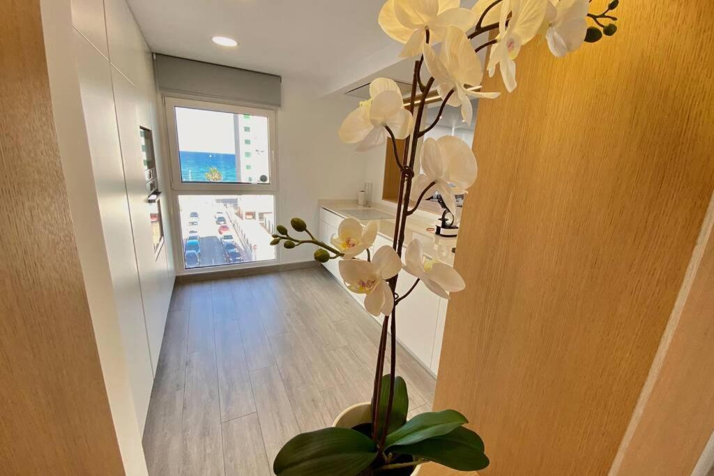 Central Modern Apartment 3 Bed 2 Bath El Campello Exterior photo